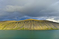 Coastline with basalt columns, Westfjords, Iceland