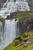 Tourist next to cascades, Dynjandi Waterfall, Westfjords, Iceland