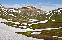 Ice and mountain, Borgarfjordur Eystri, Iceland