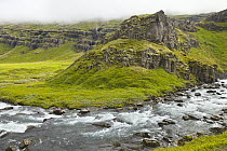 River in tundra, Fjardara River, Mjoifjordur, Iceland