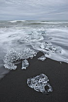 Ice chunks on black sand beach, Jokalsarlon Lagoon, Iceland