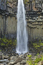 Waterfall and basalt columns, Svartifoss Waterfall, Skaftafell National Park, Iceland
