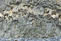 Massive basalt columns in cliffs, Reynisdrangar, Iceland