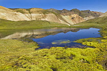 Rhyolite mountains and lake, Landmannalaugar, Fjallabak Nature Reserve, Iceland