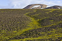 Eroded volcanic mountain, Landmannalaugar, Fjallabak Nature Reserve, Iceland
