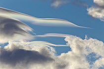 Lenticular cloud above cumulus clouds, Jokalsarlon Lagoon, Iceland