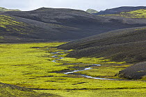 Tundra, Tungnarfjoll Mountains and Fogrufjoll Mountains, Iceland