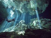 Diver in sunrays in freshwater cenote, Quintana Roo, Yucatan Peninsula, Yucatan, Mexico