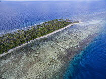 Coral reef and island, Papua New Guinea