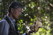 Chimpanzee (Pan troglodytes) biologist, Professor Matsuzawa, holding skull, Bossou, Guinea