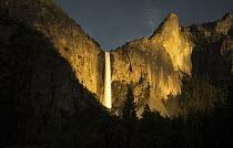 Granite cliffs and waterfall at sunset, Bridal Veil Falls, Yosemite National Park, California