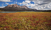 Meadow and mountains in autumn, Brooks Lake, Wyoming