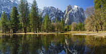 Flooded meadow, Cathedral Rocks, Yosemite National Park, California