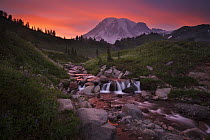 Alpine creek at sunset, Mount Rainier National Park, Washington