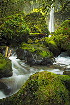 River and moss-covered boulders, Elowah Falls, Columbia River Gorge, Oregon