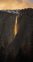 Horsetail Fall, low sun angle lights the rock wall during sundown creating a firefall, Yosemite National Park, California