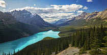Glacial lake and mountains, Peyto Lake and Icefields Parkway, Banff National Park, Alberta, Canada