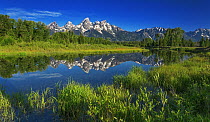 Mountains reflected in water, Schwabacher Landing, Grant Teton Range, Grand Teton National Park, Wyoming