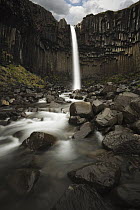 Waterfall and basalt columns, Svartifoss Waterfall, Skaftafell National Park, Iceland