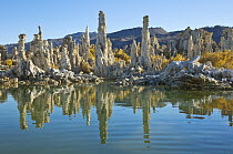 Calcium tufa formations, Mono Lake, California