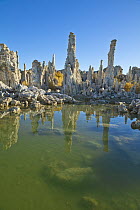 Calcium tufa formations, Mono Lake, California