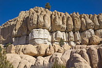 Sandstone formations deeply eroded by water, Spring Valley State Park, Nevada