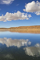 Lake reflecting cumulus clouds, Lake Powell, Glen Canyon National Recreation Area, Utah