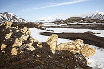 Rocks and ice near mountains in tundra, Eidembukta, Spitsbergen, Svalbard, Norway