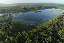 Lake in rainforest, Wasur National Park, Papua, Indonesia