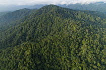 Mountains with choco rainforest, Utria National Park, Colombia