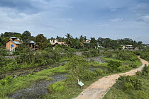 Urban wetland in city, Diyasaru Park, Colombo, Sri Lanka