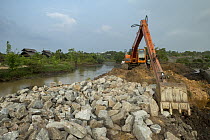 Excavator in urban wetland, Diyasaru Park, Colombo, Sri Lanka