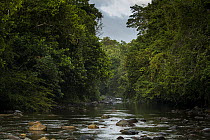 River flowing through semi-deciduous tropical moist rainforest, Cocobolo Nature Reserve, Mamoni Valley, Panama