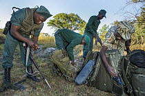 Anti-poaching scouts getting gear ready for deployment, Kafue National Park, Zambia