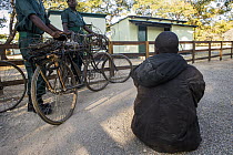 Arrested poacher with confiscated bicycles and snares by anti-poaching team, Kafue National Park, Zambia