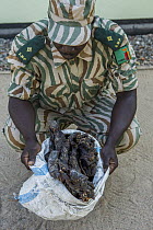 Anti-poaching commander with confiscated bushmeat from poacher, Kafue National Park, Zambia