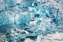 Ice, LeConte Bay, southeast Alaska
