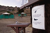 Do not feed wildlife warning sign, Santa Catalina Island, Channel Islands, California
