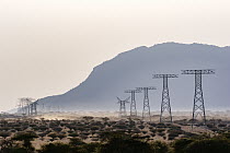 Power poles for solar power energy, Westgate Community Conservancy, Naibelibeli Plains, Kenya