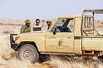 Grevy's Zebra (Equus grevyi) conservationist, Ann-Sarah, downloading data, El Barta, Kenya