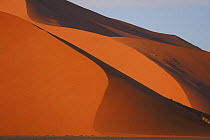 Sand dunes at sunrise, Namib Desert, Namibia