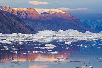 Icebergs along coast, Scoresby Sound, Greenland