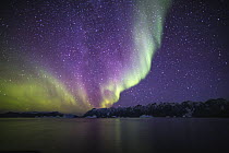 Aurora borealis over coastal mountains, Scoresby Sound, Greenland