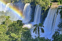 Rainbow over waterfalls, Bosetti Waterfall, Iguacu Falls, Argentina