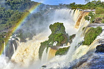 Rainbow over waterfall, Bosetti Waterfall, Iguacu Falls, Argentina