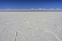 Salt flat, Salar de Uyuni, Bolivia