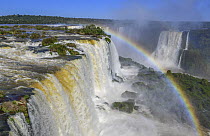 Rainbow over waterfall, Iguacu Falls, Brazil