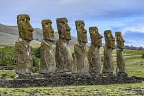 Moai statues, Ahu Akivi, Easter Island, Chile