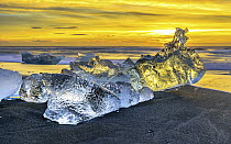 Ice washed ashore on beach at sunrise, Jokulsarlon Lagoon, Iceland