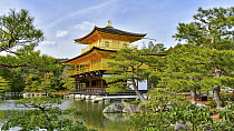 Golden pavilion, Ginkaku-ji, Kyoto, Japan